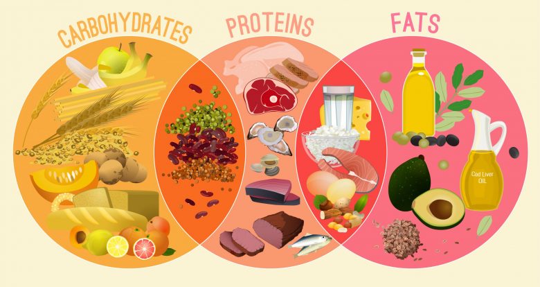 What are the Macronutrients for a Cutting Phase? Men/Women - Dom Eats