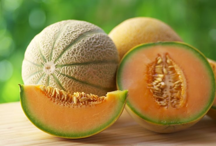 cantaloupe