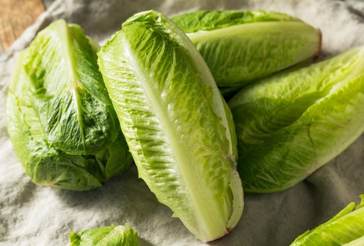 can you freeze romaine lettuce