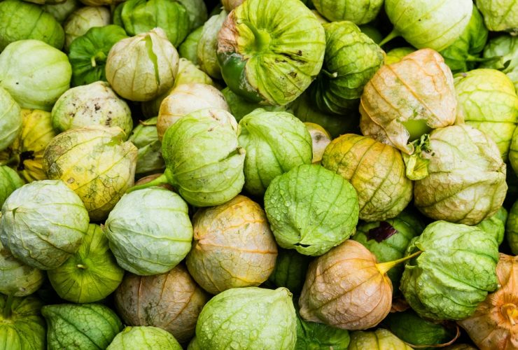 can you freeze tomatillos