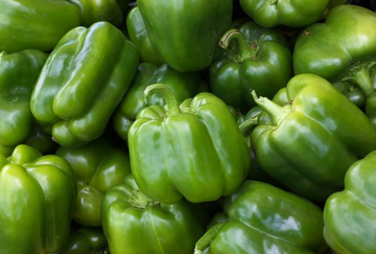 how long do green peppers last