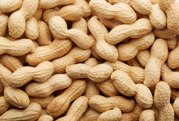 how long do peanuts last