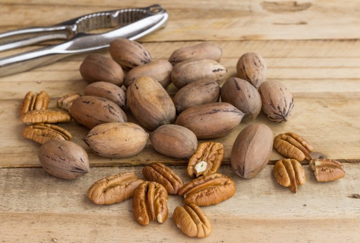 how long do pecans last