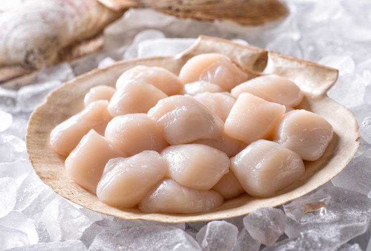 can you freeze scallops