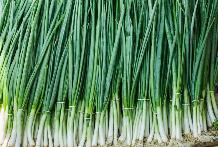 spring onion substitutes