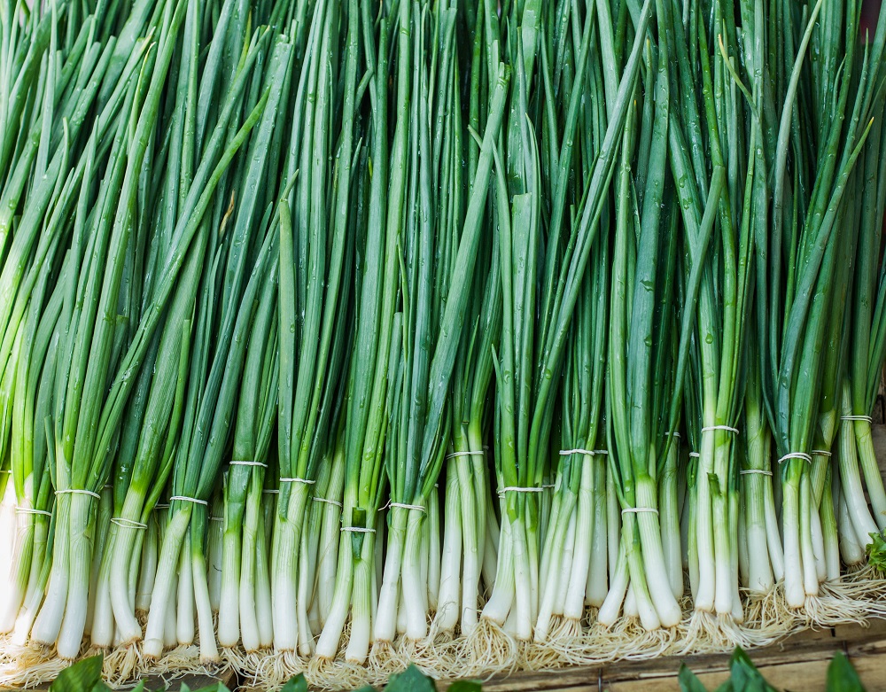 Spring Onion Substitutes: Alternative Options Explained - Dom Eats