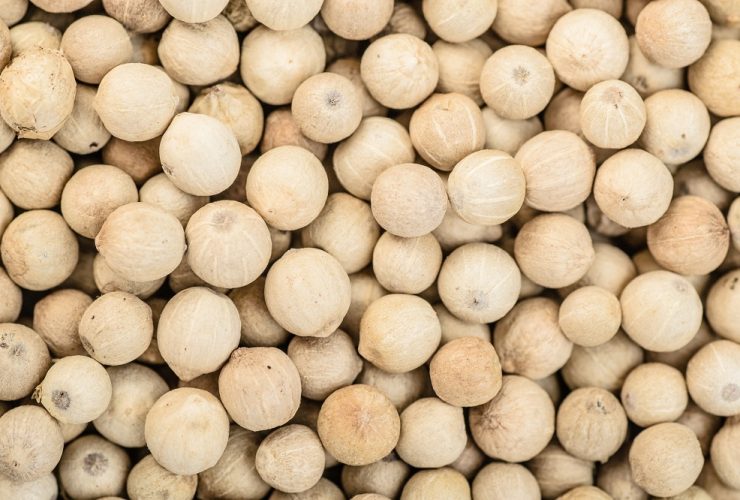 white pepper substitutes