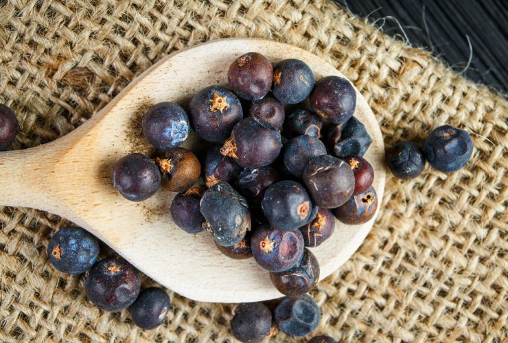 juniper berry substitutes